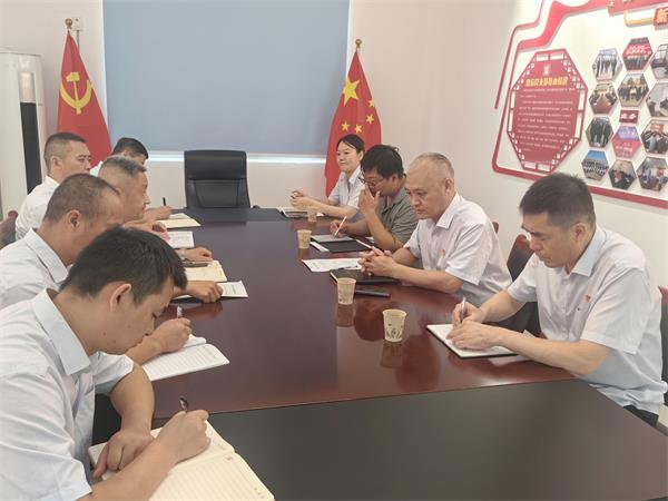 公司領(lǐng)導(dǎo)調(diào)研指導(dǎo)鼎信公司、藍(lán)盾...