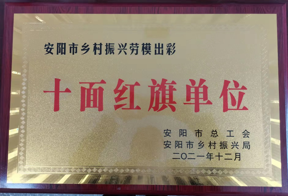 安陽市鄉(xiāng)村振興勞模出彩十面紅旗...